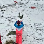 d81e7759-8686-49f2-8424-09541ff019ee